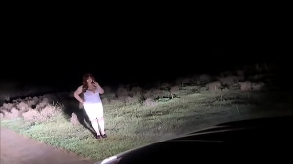 Stepmom thanked stepson in the car